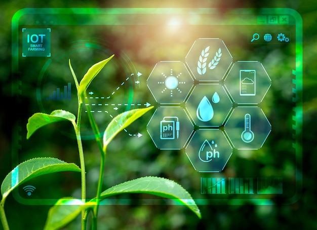 El concepto de tecnología de transformación agrícola de la agricultura inteligente La pantalla de monitoreo digital de los íconos del elemento IOT aparecen en las hojas de té verde orgánico en la granja agrícola cultivada.