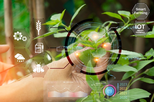 El concepto de uso de IA y agricultura inteligente