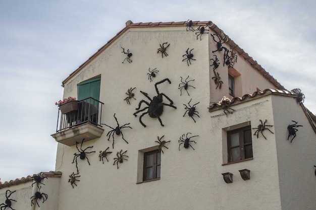 Concepto de vacaciones de halloween arañas en casa