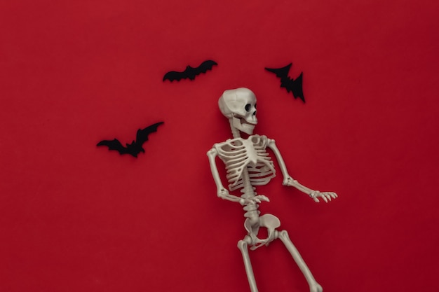 Concepto de vacaciones de Halloween. Esqueleto y murciélagos voladores sobre un rojo.