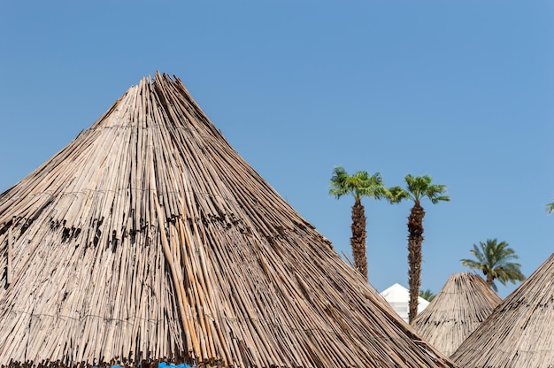 Foto concepto de vacaciones paraguas de paja de cerca