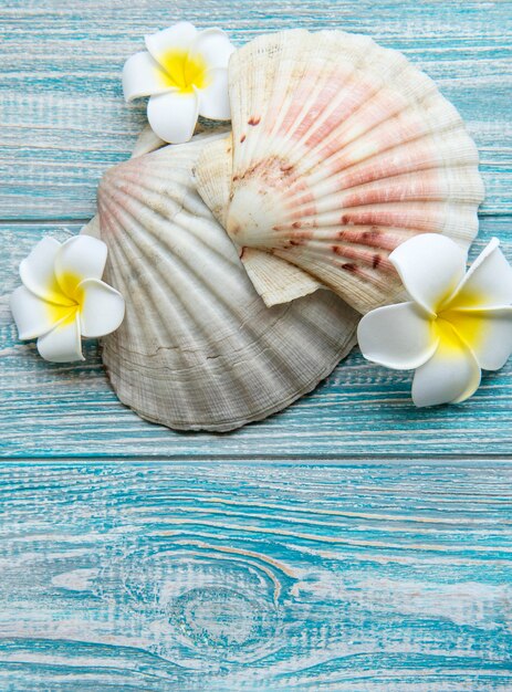 Concepto de vacaciones de verano. Flor de frangipani blanco y conchas de mar sobre fondo de madera azul