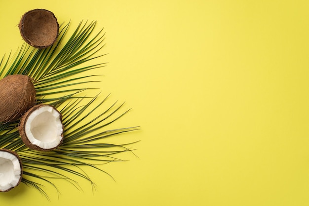Concepto de vacaciones de verano Foto de vista superior de cocos agrietados y hojas de palma verde sobre fondo amarillo aislado con copyspace