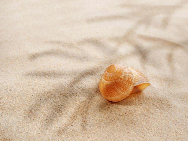 El concepto de verano y mar.