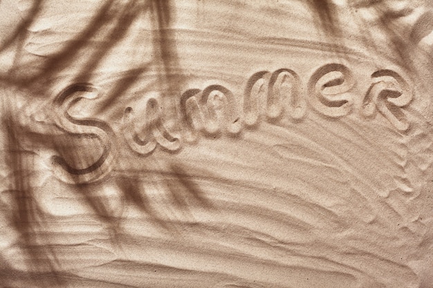 Concepto de verano con una sombra de una palmera tropical deja copyspace en una playa de arena blanca