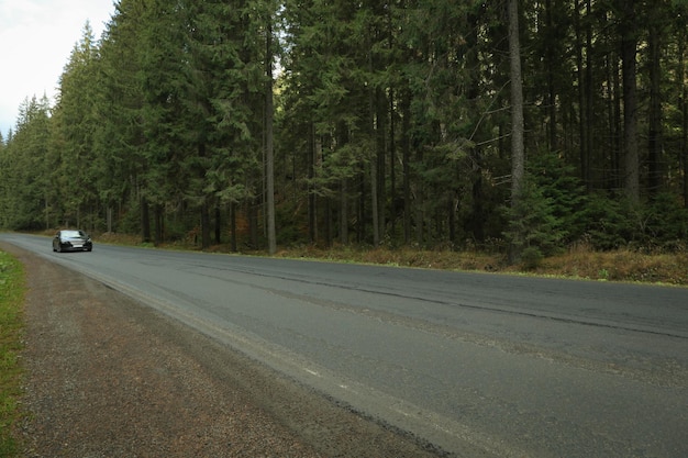 Concepto de viaje el coche está conduciendo por la carretera en el bosque