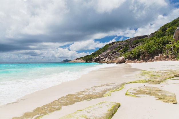 concepto de viaje, paisaje marino y naturaleza - playa de la isla en el océano Índico en Seychelles