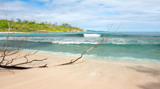 Concepto de viaje de vacaciones con paisaje de playa de mar tropical