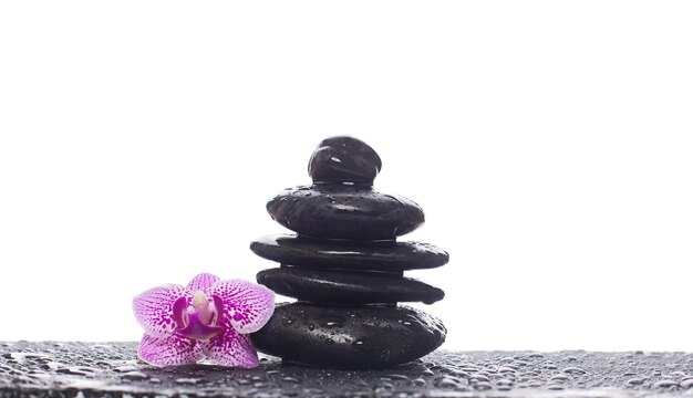 Concepto zen Piedras negras y flores de orquídeas
