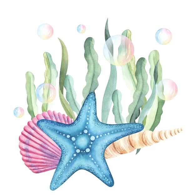 Foto concha de estrela do mar com ilustração de aquarela de algas marinhas desenhada à mão