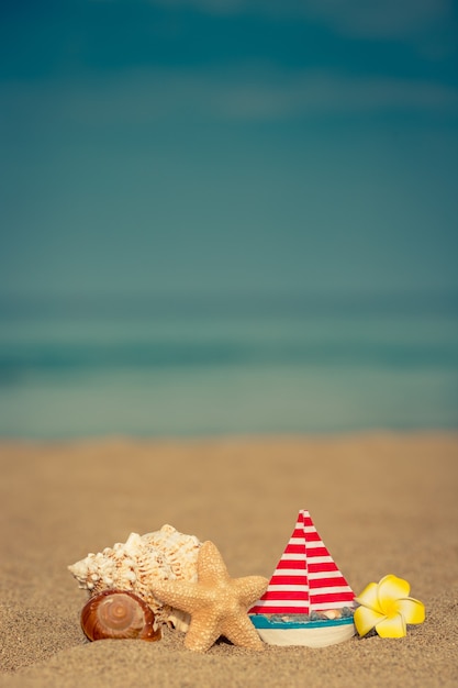 Foto concha do mar e estrela na praia de areia contra o mar e o céu azuis