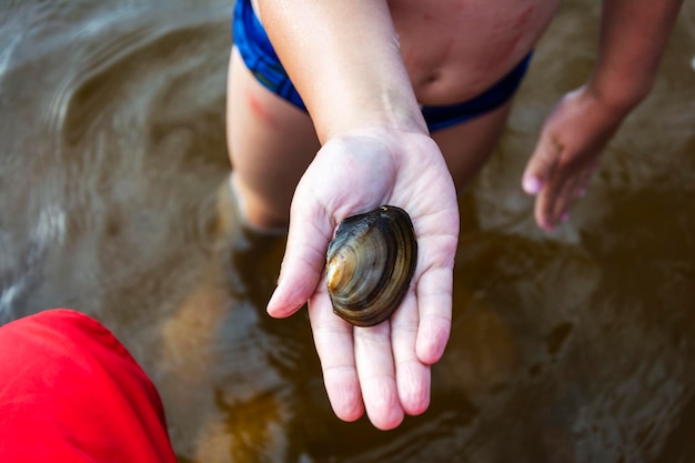 Concha de lago en la mano de un niño habitantes acuáticos de almejas de agua dulce