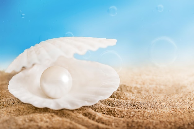concha de mar abierta con una perla rodeada de burbujas de aire