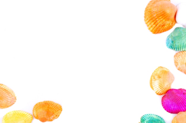 Concha de mar de colores aislada sobre un fondo blanco con espacio de copia