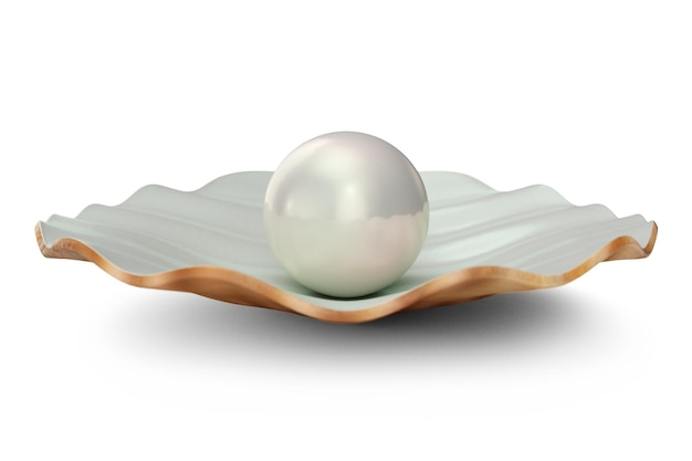 Concha con perla en el interior. Concha de perla abierta natural. Ilustración 3D