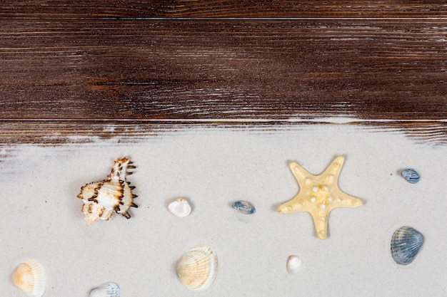Conchas y arena en tablas de madera oscura Concepto costero Enfoque selectivo en conchas marinas y arena Lugar para una inscripción Vista desde arriba