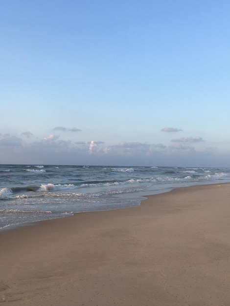 Foto las conchas del cielo de arena de playa