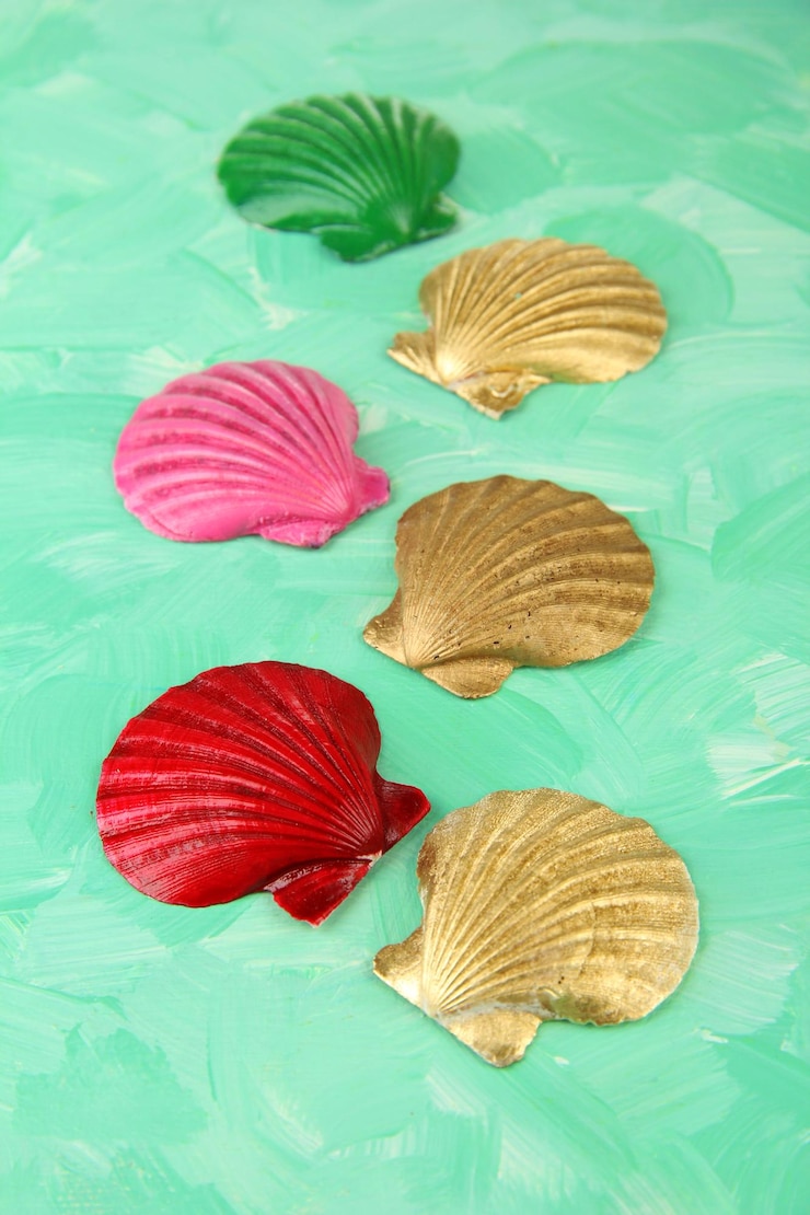 Foto conchas coloridas na cor de fundo de madeira