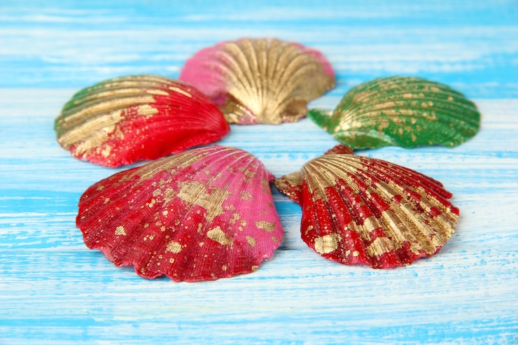 Foto conchas coloridas na cor de fundo de madeira