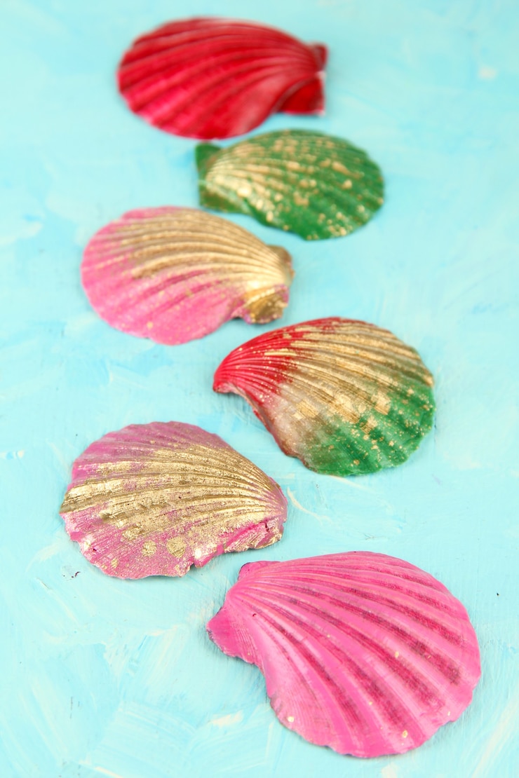 Foto conchas coloridas