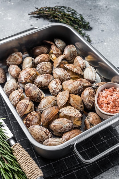 Conchas cruas amêijoas vongole em uma bandeja de aço fundo cinza vista superior