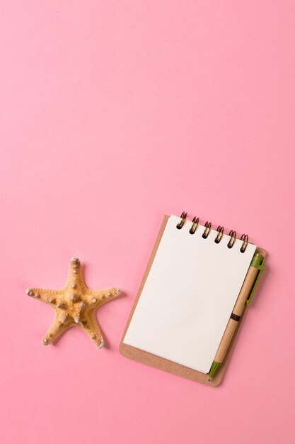 Conchas y un cuaderno sobre un fondo rosa