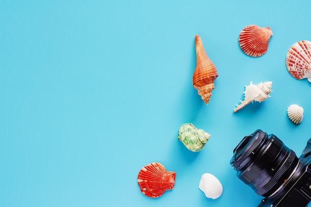 Conchas de câmera e mar sobre fundo azul para acessórios de viagem e conceito de relaxamento