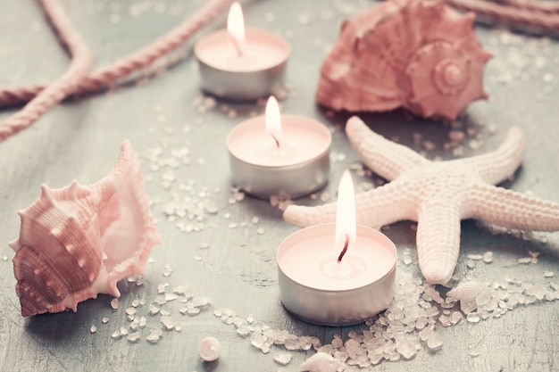 Conchas de velas e estrelas do mar na tonificação monocromática de fundo vintage