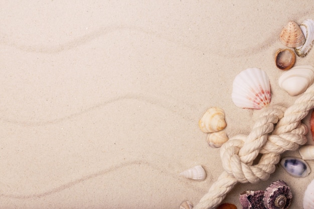 Foto conchas do mar e corda na areia com espaço para texto