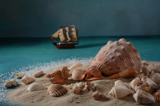 Conchas do mar em um fundo de cor de onda do mar com areia. conceito de férias de verão.