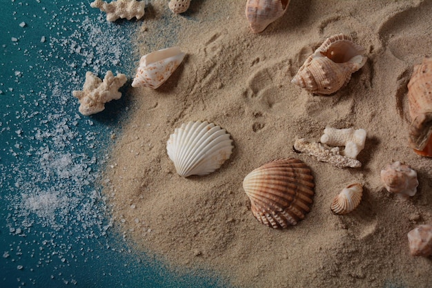 Conchas do mar em um fundo de cor de onda do mar com areia. Conceito de férias de verão.