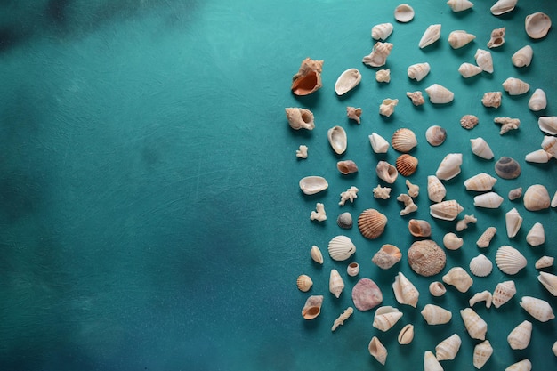 Conchas do mar em um fundo de cor de ondas do mar. Conceito de férias de verão. Espaço para o texto.