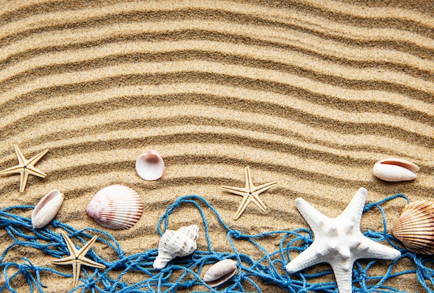 Conchas do mar na areia