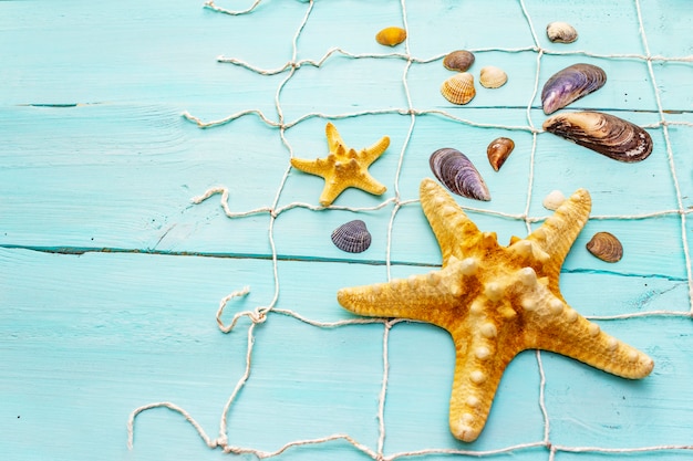 Conchas e estrelas do mar, composição de verão