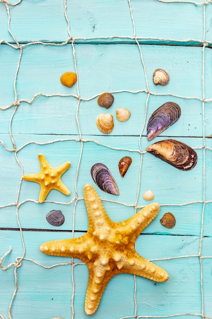 Conchas e estrelas do mar, composição de verão