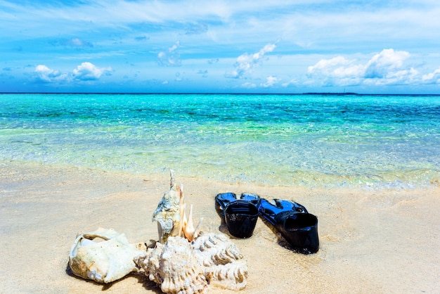 Conchas e nadadeiras subaquáticas na areia na costa do Oceano Índico