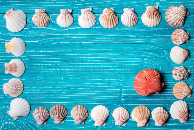 Conchas em fundo de madeira azul