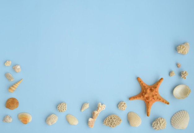 Conchas Estrela do mar, corais no espaço de cópia de visão superior de fundo azul Férias de verão ou conceito de férias