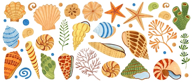 Conchas, estrelas-do-mar, corais, algas, conjunto de ilustrações em aquarela isoladas sobre um fundo branco
