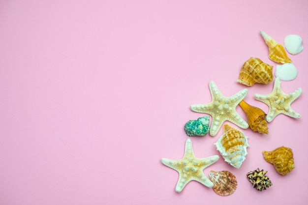 Foto conchas y estrellas de mar sobre fondo rosa. copie el espacio para su texto. concepto de vacaciones de verano.