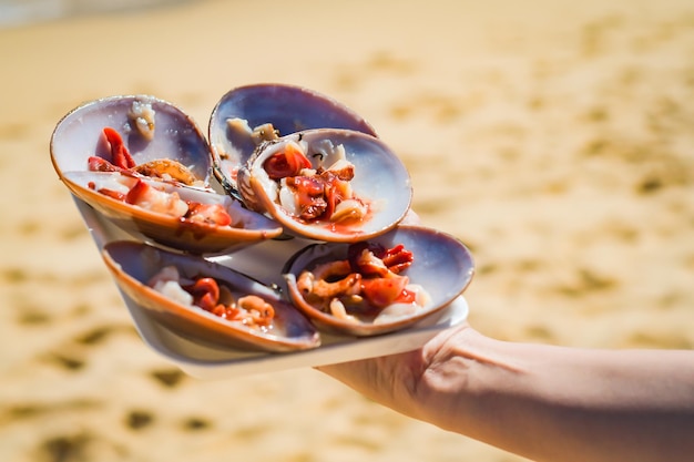 Conchas finas de málaga preparadas à mão no fundo da areia do mar