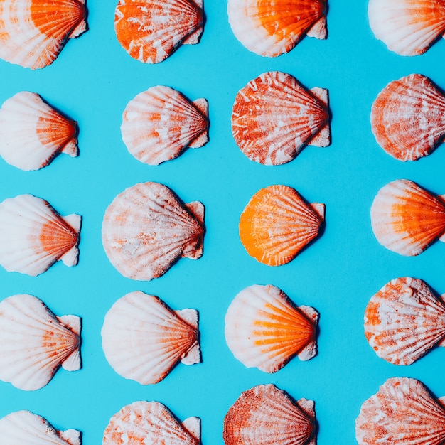 Conchas de fondo Arte de estilo minimalista