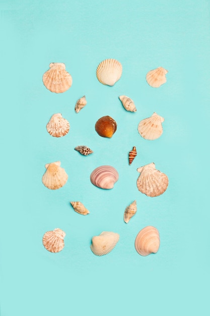 Foto conchas marinas en un fondo turquesa con espacio de copia en una vista superior