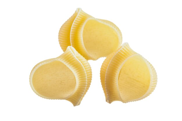 Conchas de pasta cruda aisladas en blanco