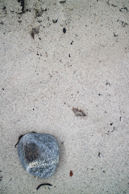 Conchas y rocas en la arena de la playa.