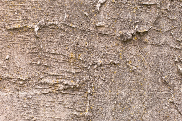 Foto concreto de textura de ardósia de amianto coberto com líquen e musgo, cimento natural de material industrial
