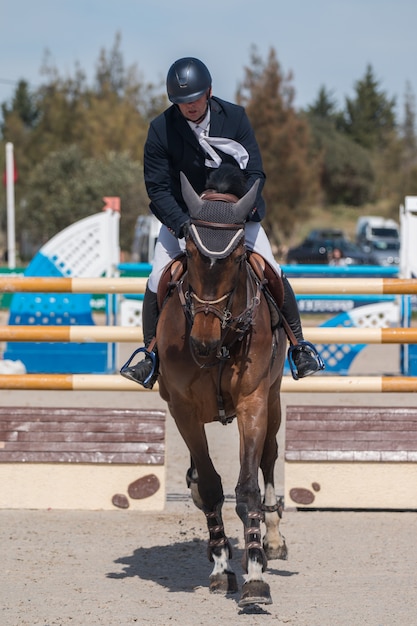 Concurso de saltos de caballos