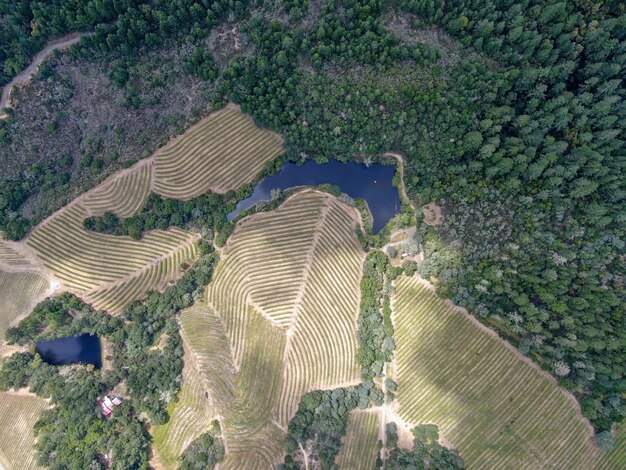 Condado de Napa en la región vinícola de California, parte de la región de North Bay de San Francisco