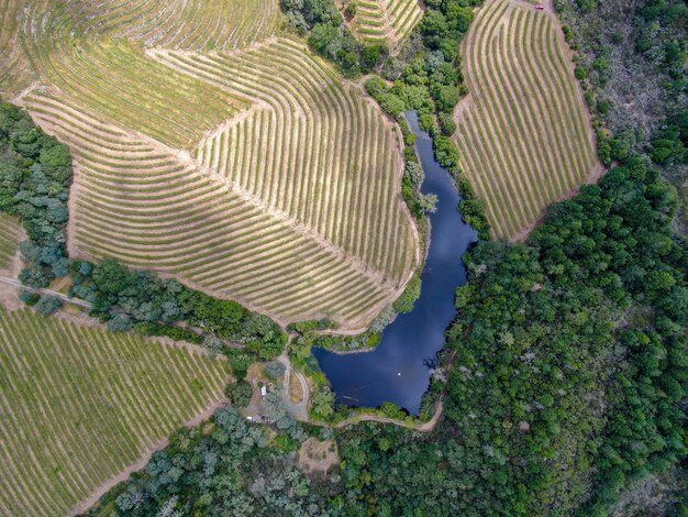 Condado de Napa en la región vinícola de California