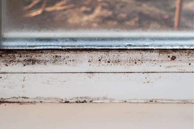 Condensação e mofo preto em janelas de plástico problema de congelamento da parede no inverno